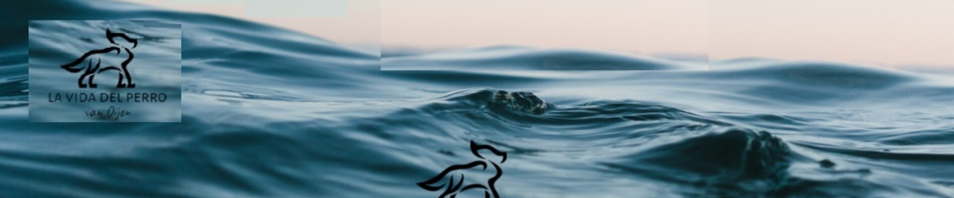 Dagje uit: aan water