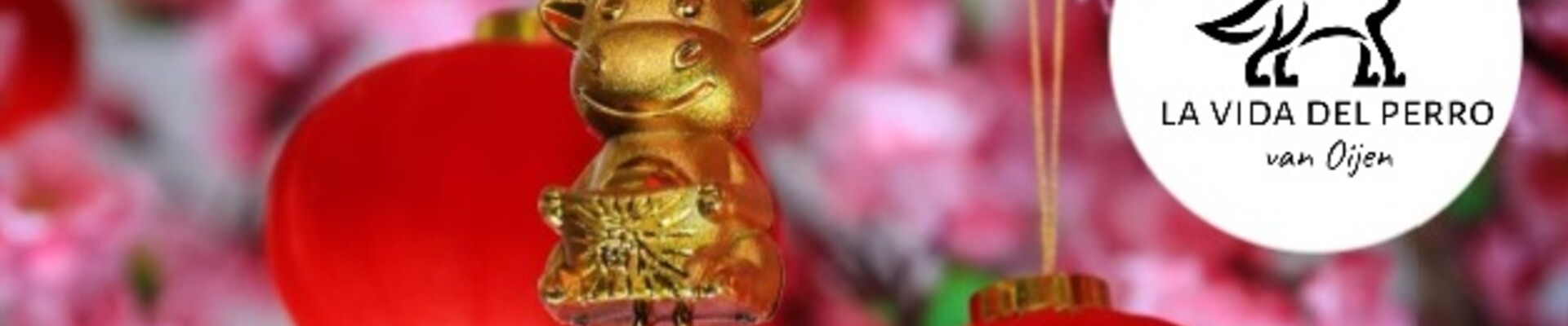 (12 februari) Chinees Nieuwjaar 2021