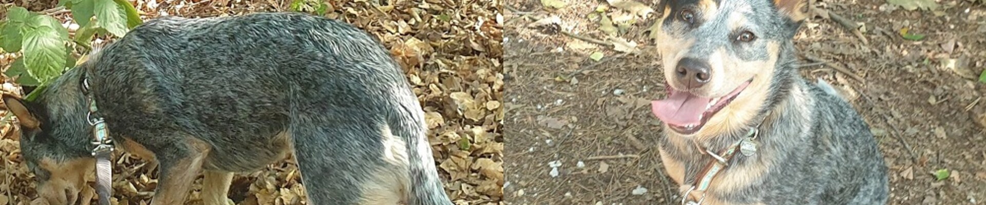 Neem contact met ons op