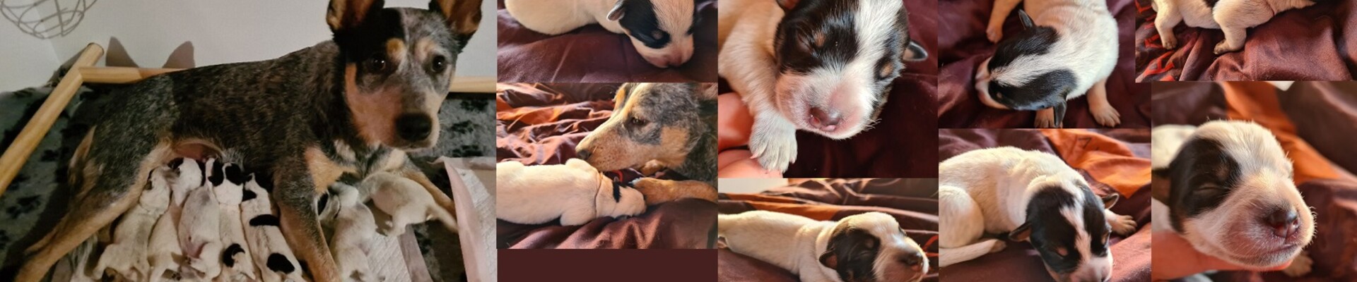 Geboren: 21 november 2020