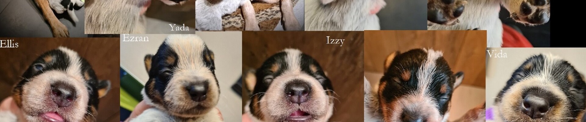 Ogen zijn al een beetje open