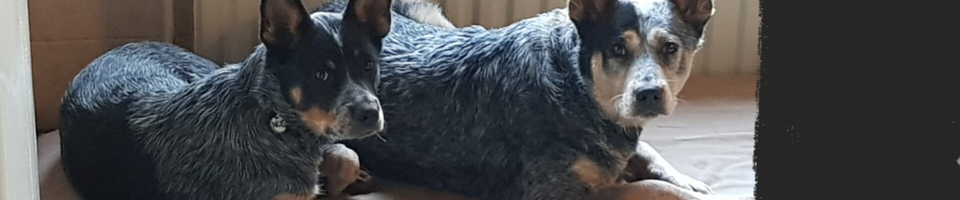 Met z'n allen: touw spelen