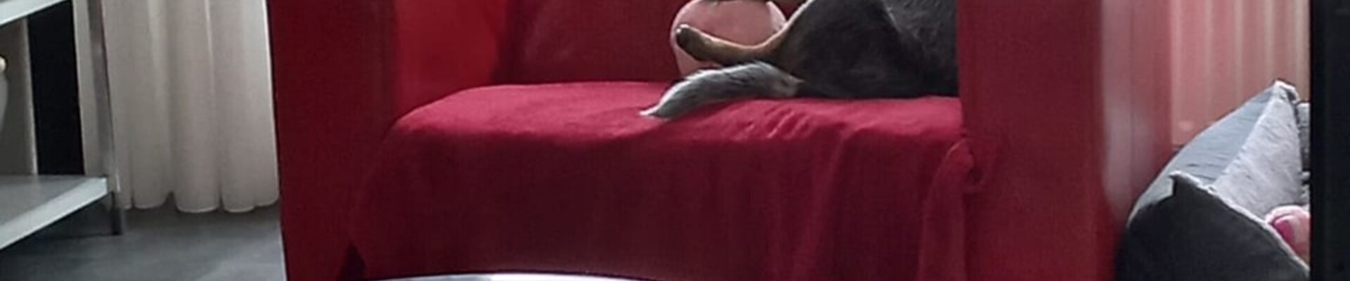 Ava Kira: aan het water