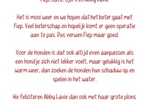 Abby Lavie: Onze roedel