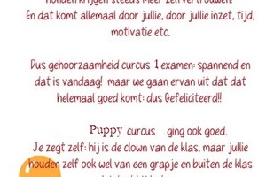 Soran Bart: bij de paarden