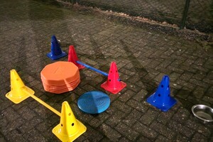 Balans en Coordinatie/Fitness les