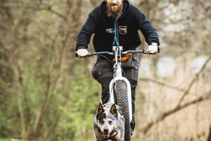 Canisport events - workshop