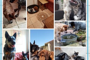 Claudia, Harry, hartelijk dank voor de mooie kaart met warme tekst...