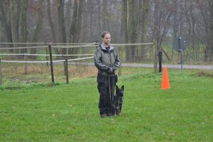 Izzy: Beginners curcus geslaagd