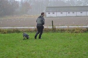 Izzy: Beginners curcus geslaagd