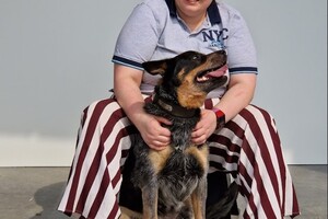 Vida: hondenschool jaar 2022