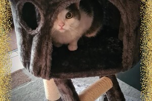 2021: Lucky en Faith