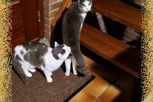 2021: Lucky en Faith