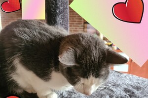 2021: Lucky en Faith