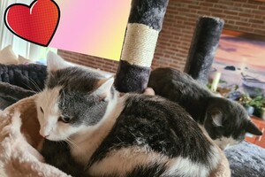 2021: Lucky en Faith