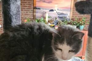 2021: Lucky en Faith