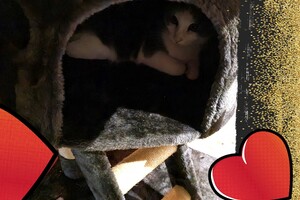 2021: Lucky en Faith