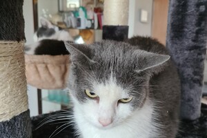 2021: Lucky en Faith