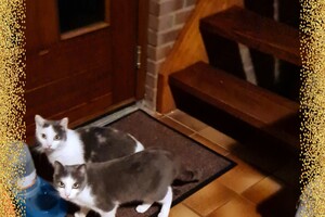 2021: Lucky en Faith