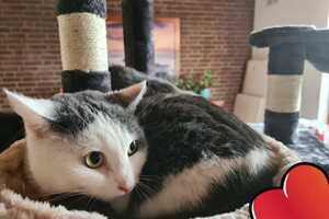 2021: Lucky en Faith