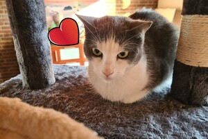 2021: Lucky en Faith