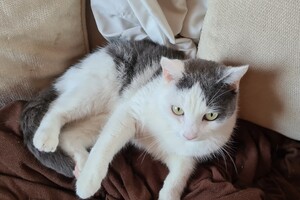 2021: Lucky en Faith