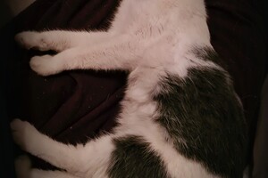 2021: Lucky en Faith