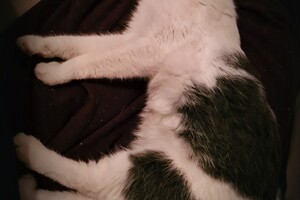 2021: Lucky en Faith