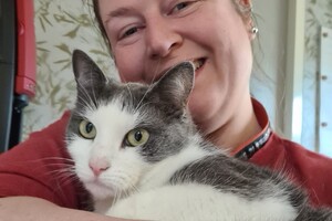 Onze langharige katten