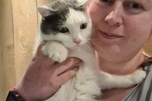 Onze langharige katten