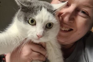 Onze langharige katten