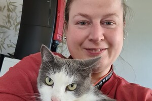 Onze langharige katten