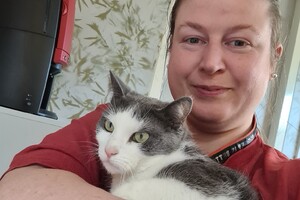 Onze langharige katten