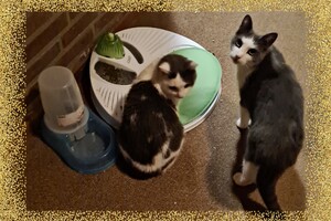 2021: Lucky en Faith