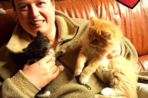 Onze langharige katten