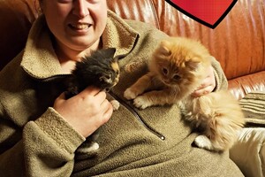 Onze langharige katten