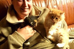 Onze langharige katten