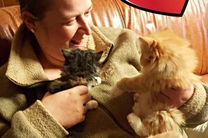 Onze langharige katten