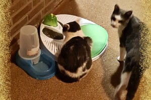 2021: Lucky en Faith