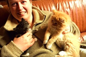 Onze langharige katten