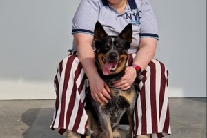 Yada: paas eieren zoeken bij detectie 