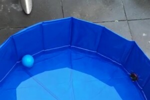 Soran Bart: water pret thuis