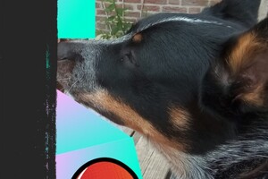 Een interview met Izzy: