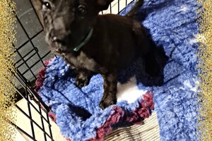 Onze Bucky - 23 augustus 2021