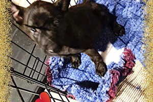 Onze Bucky - 23 augustus 2021