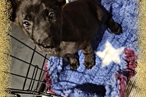 Onze Bucky - 23 augustus 2021