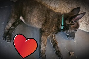 Onze Bucky - 23 augustus 2021