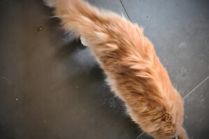 Clémentine 16 mei 2021