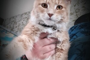 Clémentine 16 mei 2021