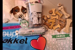 Izzy en Vida: hondenschool